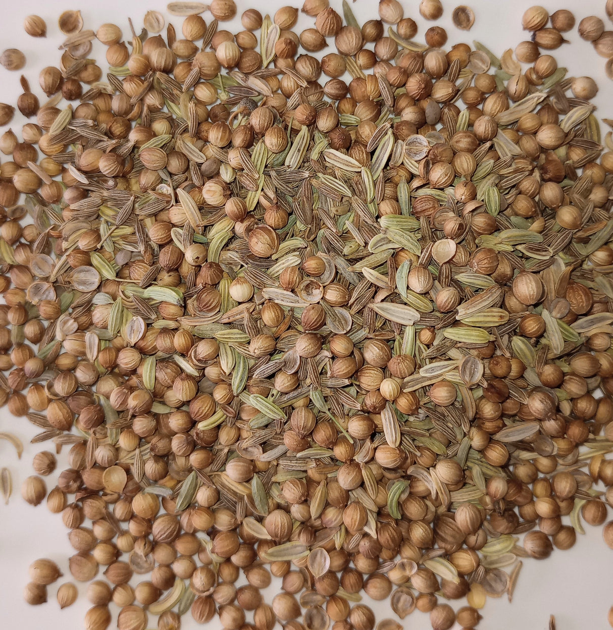 Cumin Coriander & Fennel (CCF)