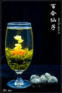 Flowering Tea - Bai He Xian Zi