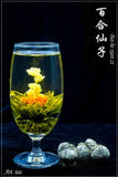 Flowering Tea - Bai He Xian Zi