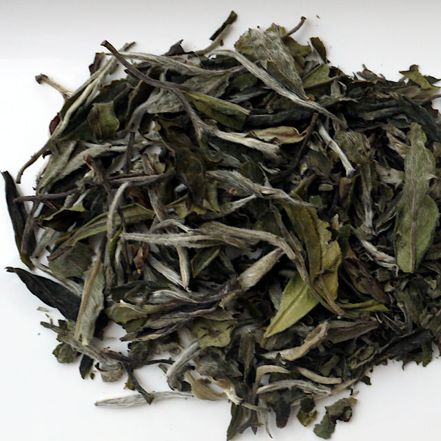 Bai Mu Dan Premium (White Peony Tea)-Loose leaf tea-Truly Tea Shop